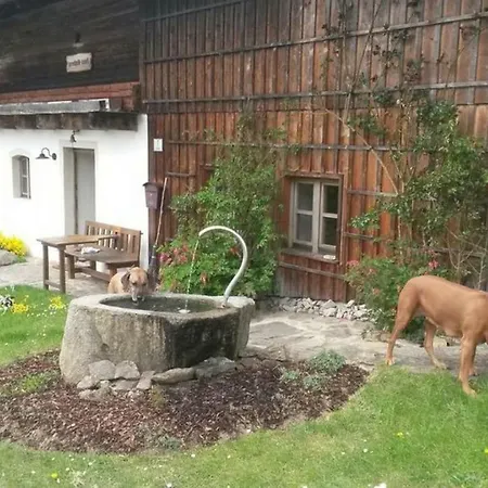 Guest house Holiday *